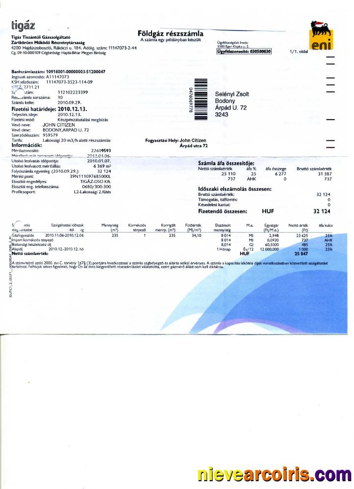 Hungary Tigáz utility bill